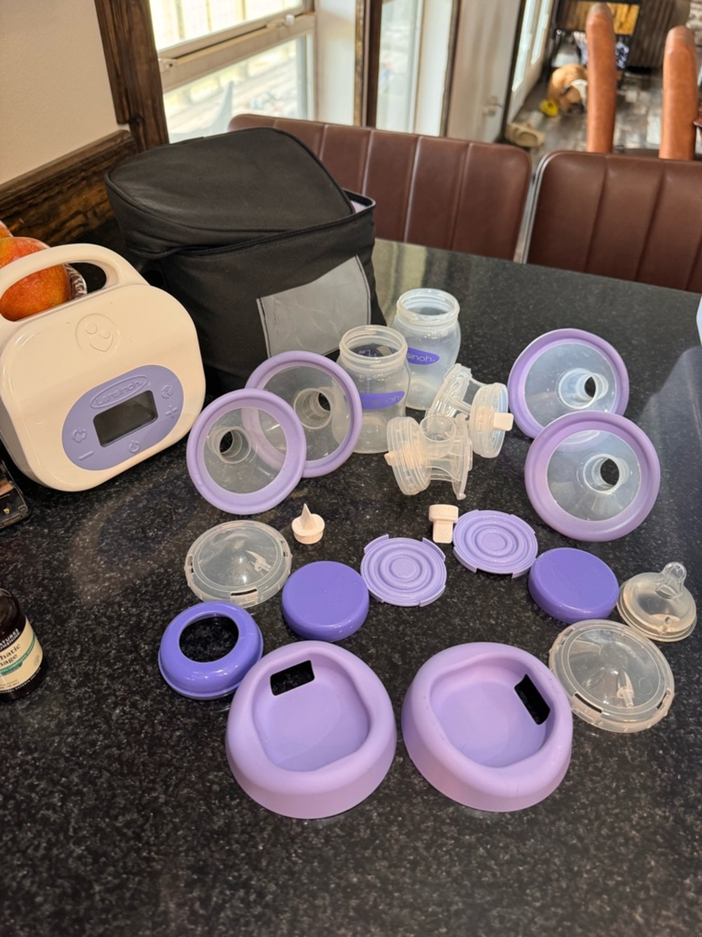 Lansinoh Breast Pump